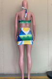 Multicolor Fashion Sexy Print Backless Halter Sleeveless Dress