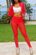 Red Fashion Casual Patchwork See-through Zipper Collar Long Sleeve Two Pieces