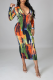Multicolor Sexy Print Patchwork Zipper Collar Pencil Skirt Dresses