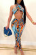 Blue Orange Sexy Print Bandage Patchwork Frenulum Fold Halter Sleeveless Two Pieces