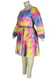 Purple Fashion Casual Plus Size Print Basic O Neck Long Sleeve Dresses