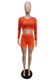 Black Sexy Casual Solid Hollowed Out See-through O Neck Long Sleeve Two Pieces