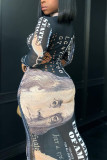 Black Fashion Sexy Print See-through Turtleneck Printed Dress