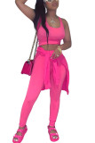 Blue Fashion Casual Adult Solid Patchwork O Neck Long Sleeve Regular Sleeve Regular Two Pieces
