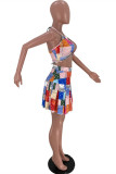 Multicolor Fashion Sexy Print Bandage Backless Halter Sleeveless Two Pieces