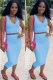 Blue Sexy Fashion Patchwork Solid A-line skirt Two-Piece Dress