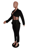 Black Casual Solid Patchwork V Neck Long Sleeve Two Pieces