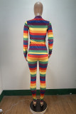 Multicolor Sexy Print O Neck Long Sleeve Two Pieces