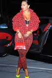 Leopard print Casual Patchwork Leopard Print Two Piece Suits pencil Long Sleeve 