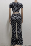 Rose Red Sexy Print Patchwork V Neck Short Sleeve Two Pieces