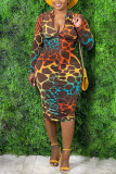 Brown Print V Neck Wrapped Skirt Dresses