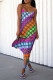 Colour Fashion Sexy Plaid Print Backless Spaghetti Strap Sleeveless Dress