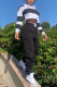 Black Fashion Casual Blends Striped Print Pullovers Pants POLO collar Long Sleeve Regular Sleeve Short Two Pieces