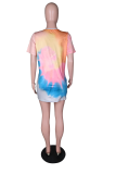 Colour Sexy Print Patchwork V Neck Straight Dresses