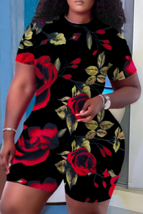Black Red Casual Print Patchwork O Neck Short Sleeve Two Pieces