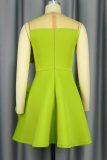 Light Green Elegant Solid Color Flounce O Neck A Line Dresses