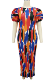 Colour Casual Print Pleated O Neck Long Dresses