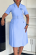 Sky Blue Elegant Solid Color With Belt Flower Shape V Neck Long Dresses