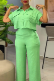 Blue Casual Solid Color Buckle Turndown Collar Short Sleeve Two Pieces
