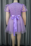 Light Purple Elegant Solid Color Mesh Butterfly O Neck Evening Dresses