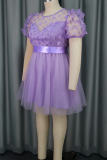 Light Purple Elegant Solid Color Mesh Butterfly O Neck Evening Dresses