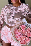 Pink Sexy Solid Color See-Through Embroidery O Neck Long Sleeve Two Pieces