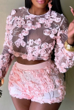 Pink Sexy Solid Color See-Through Embroidery O Neck Long Sleeve Two Pieces