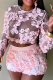 Pink Sexy Solid Color See-Through Embroidery O Neck Long Sleeve Two Pieces