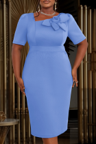 Light Blue Elegant Solid Color Flower Shape Asymmetrical Collar Long Plus Size Dresses