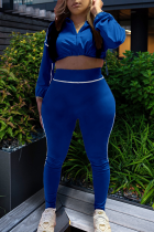 Blue Casual Zipper Zipper Collar Long Sleeve Two Pieces