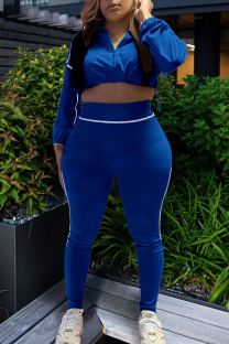 Blue Casual Zipper Zipper Collar Long Sleeve Two Pieces