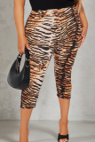 Tiger Pattern Casual Tiger Stripes Skinny Mid Waist Conventional Full Print Bottoms