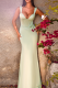 Light Green Elegant Solid Color Backless Spaghetti Strap Evening Dresses