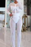 Black Casual Solid Color Mesh Zipper O Neck Long Sleeve Two Pieces