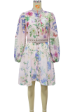 Light Blue Casual Print Buckle With Belt O Neck Printed Dresses