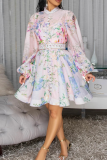 Light Blue Casual Print Buckle With Belt O Neck Printed Dresses