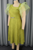 Mustard Green Elegant Solid Color Mesh O Neck Dresses