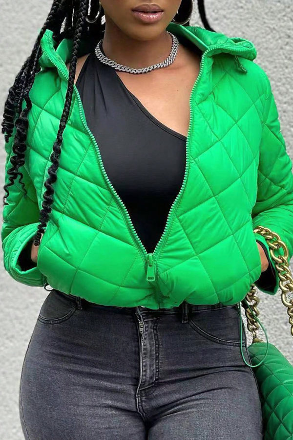 Green Casual Solid Color Zipper Zipper Collar Outerwear
