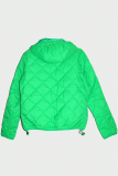Green Casual Solid Color Zipper Zipper Collar Outerwear