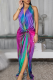 Colour Sexy Print Backless Halter Long Dresses
