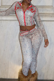 Leopard Print Casual Leopard Print Zipper Turndown Collar Long Sleeve Two Pieces