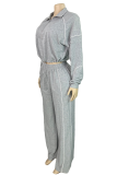 Grey Casual Solid Color Zipper Zipper Collar Long Sleeve Two Pieces