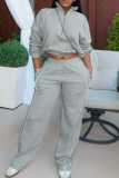 Grey Casual Solid Color Zipper Zipper Collar Long Sleeve Two Pieces