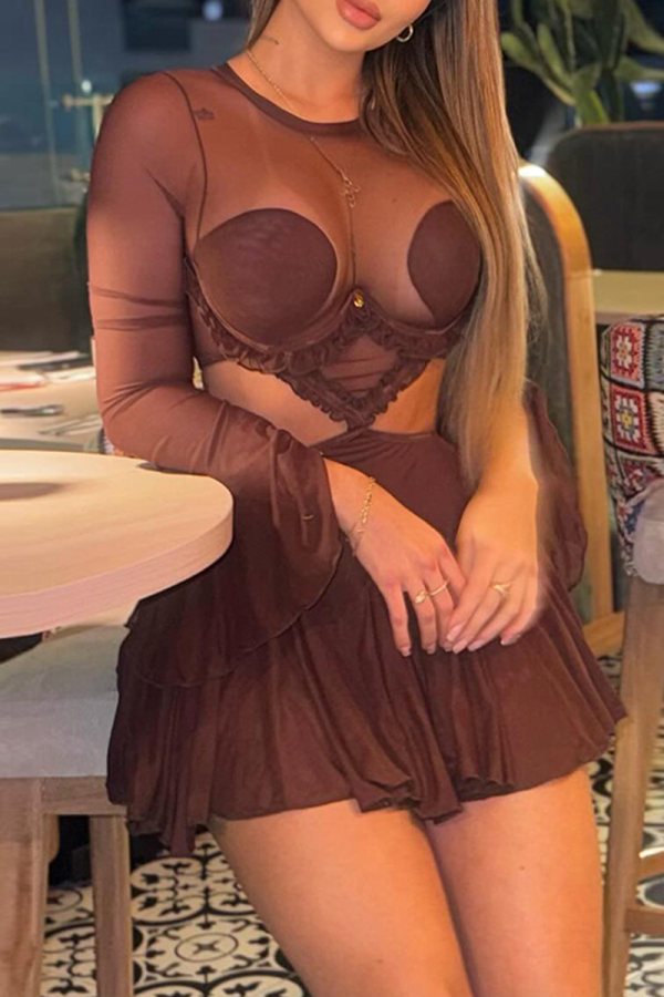 Brown Sexy Solid Color See-Through Mesh O Neck Mesh Dresses