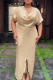 Champagne Elegant Solid Color Slit V Neck Long Plus Size Dresses