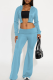 Sky Blue Casual Solid Color Zipper Hooded Long Sleeve Two Pieces