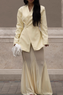 Apricot Elegant Solid Color Mesh V Neck Long Sleeve Two Pieces