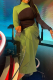 Green Elegant Solid Color Contrast Turtleneck Long Dresses