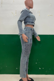 Blue Casual Solid Color Zipper Turndown Collar Long Sleeve Two Pieces