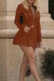 Brown Casual Solid Color Zipper Zipper Collar Long Sleeve Two Pieces